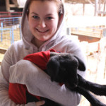 Baa Baa Black Sheep…