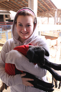 Baa Baa Black Sheep…