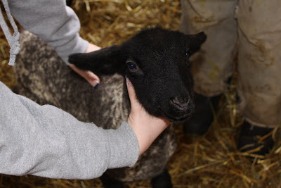Poundcake or Abercrombie ?!