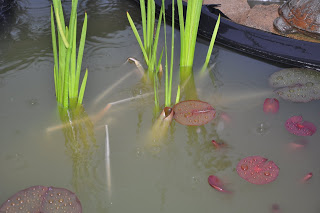 Yes, that is rain!!!