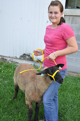 It’s Shearing Time –