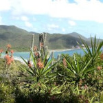 And…..we’re off!