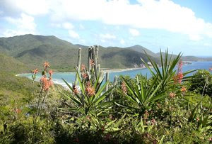 And…..we’re off!