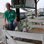 Animals weighed, all checked in their new home now…will they make grade?