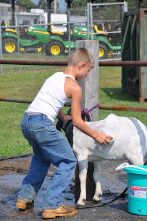 Day 3 of our County Fair!