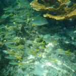 this Monday feels a lot different than most…