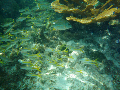 this Monday feels a lot different than most…