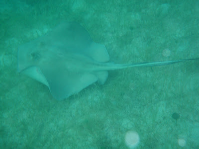 It’s Friday eve…