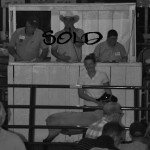 Bidders and Buyers –