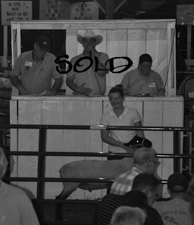 Bidders and Buyers –