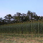 It’s that time of year…