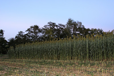 It’s that time of year…