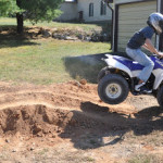 Just a little bit of fun –