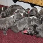 1,2,3,4,5,6,7,8,9,10 OMG ELEVEN!