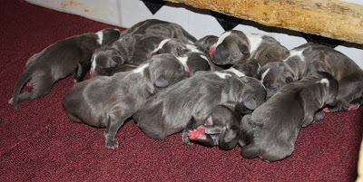 1,2,3,4,5,6,7,8,9,10 OMG ELEVEN!