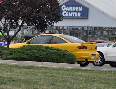 Day Four – Blogging for Scrapbookers