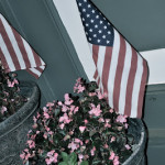 Happy Veteran’s Day!