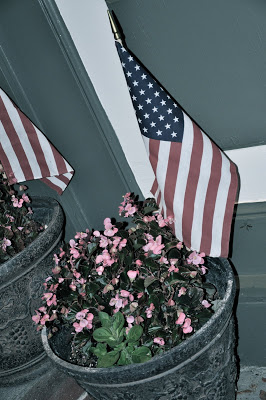 Happy Veteran’s Day!