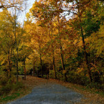 Autumn Beauty – I Heart Faces Week 45 Challenge