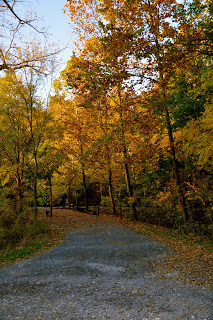 Autumn Beauty – I Heart Faces Week 45 Challenge