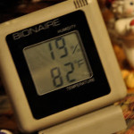 Christmas Week kick-off!