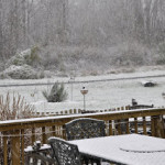 Updated   pictures   of   the   SNOW!