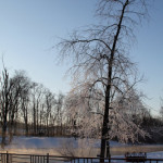 Winter beauty on Christmas Eve!