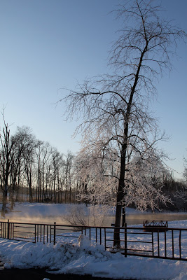 Winter beauty on Christmas Eve!