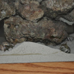 I can dream we’re there…..