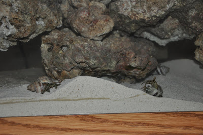 I can dream we’re there…..