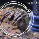 “out of body” experience –