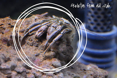 “out of body” experience –