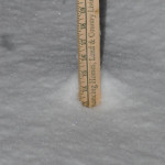 Big White Bumps!  Oh My!