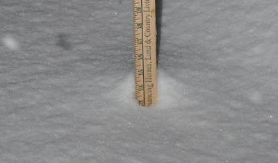 Big White Bumps! Oh My!