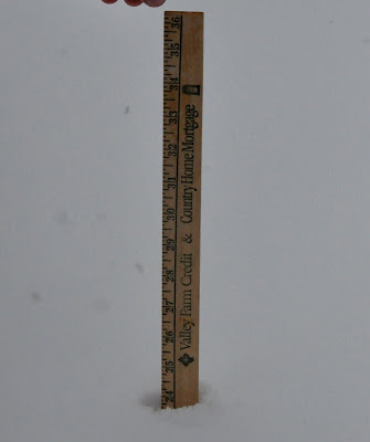 Blizzard of 2010….