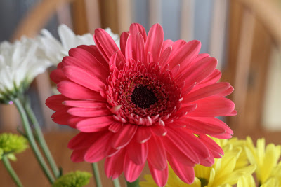 Happy Birthday Grandma!