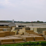 Spring or Economy boost?