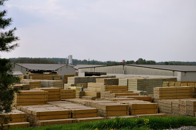 Spring or Economy boost?