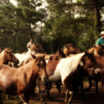 The last Wednesday in July –