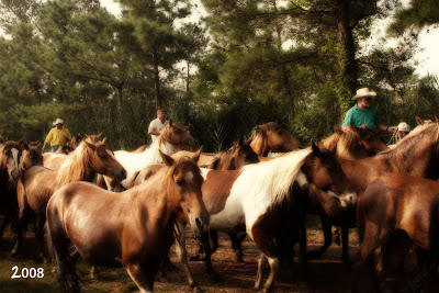 The last Wednesday in July –