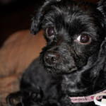 We’re babysitting….