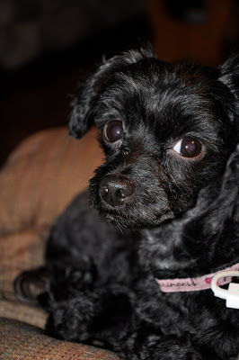 We’re babysitting….