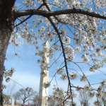 Thoughtful friends –