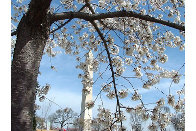 Thoughtful friends –