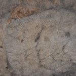 Wooly Wednesday…..