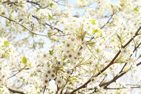 Happy Spring Y’all!