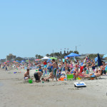 Lazy days…(Tuesday)