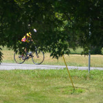 Scenes from Sunday –