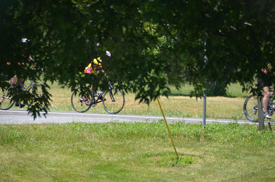 Scenes from Sunday –