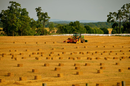 Wordless Wednesday –